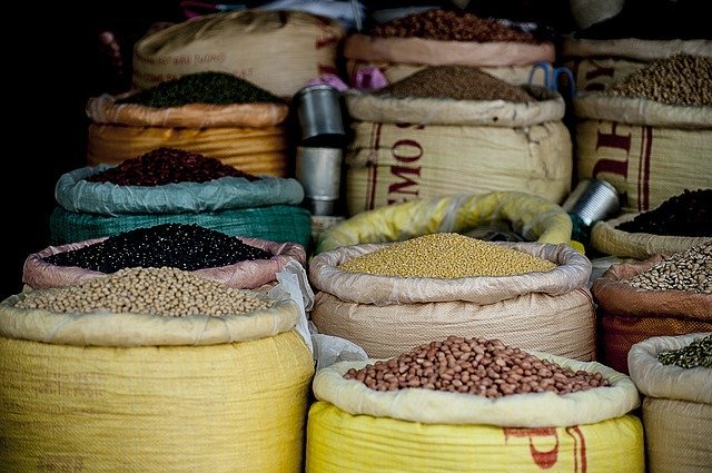 Quelles protéines végétales pour remplacer la viande ?