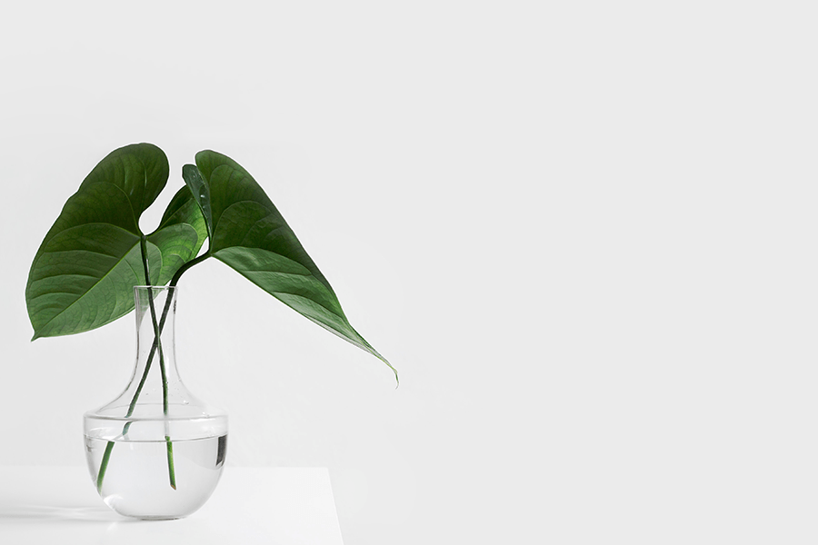 Décoration japonaise