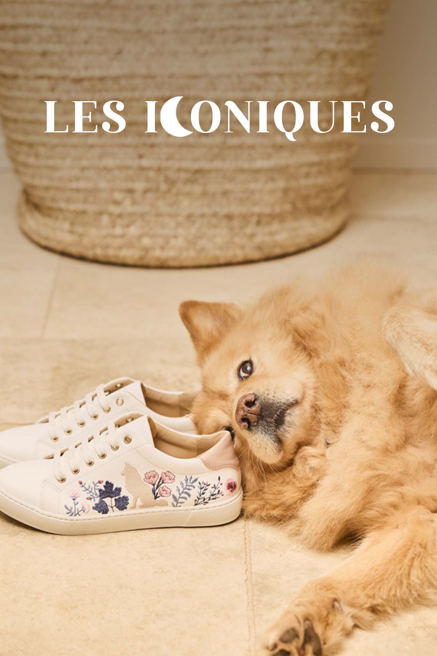 Chaussures vegan écoresponsables Minuit sur Terre