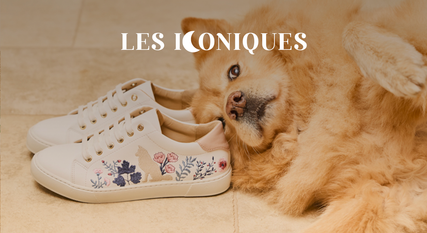 Chaussures vegan écoresponsables Minuit sur Terre