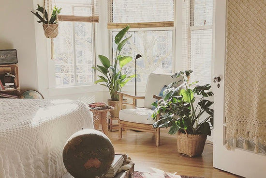 Appartement avec plantes
