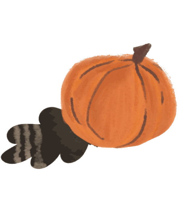 Chat noir d'Halloween