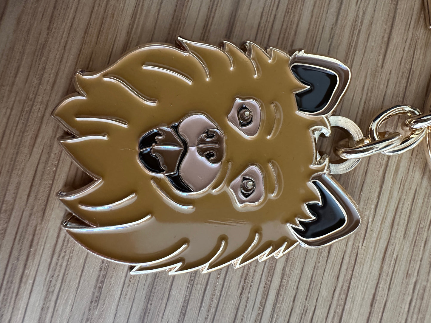 Porte Clé KNL