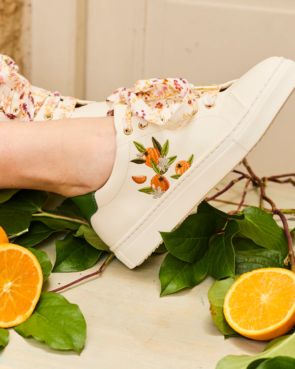 Bellecombe Clémentines