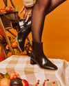 Epicéa Chocolat