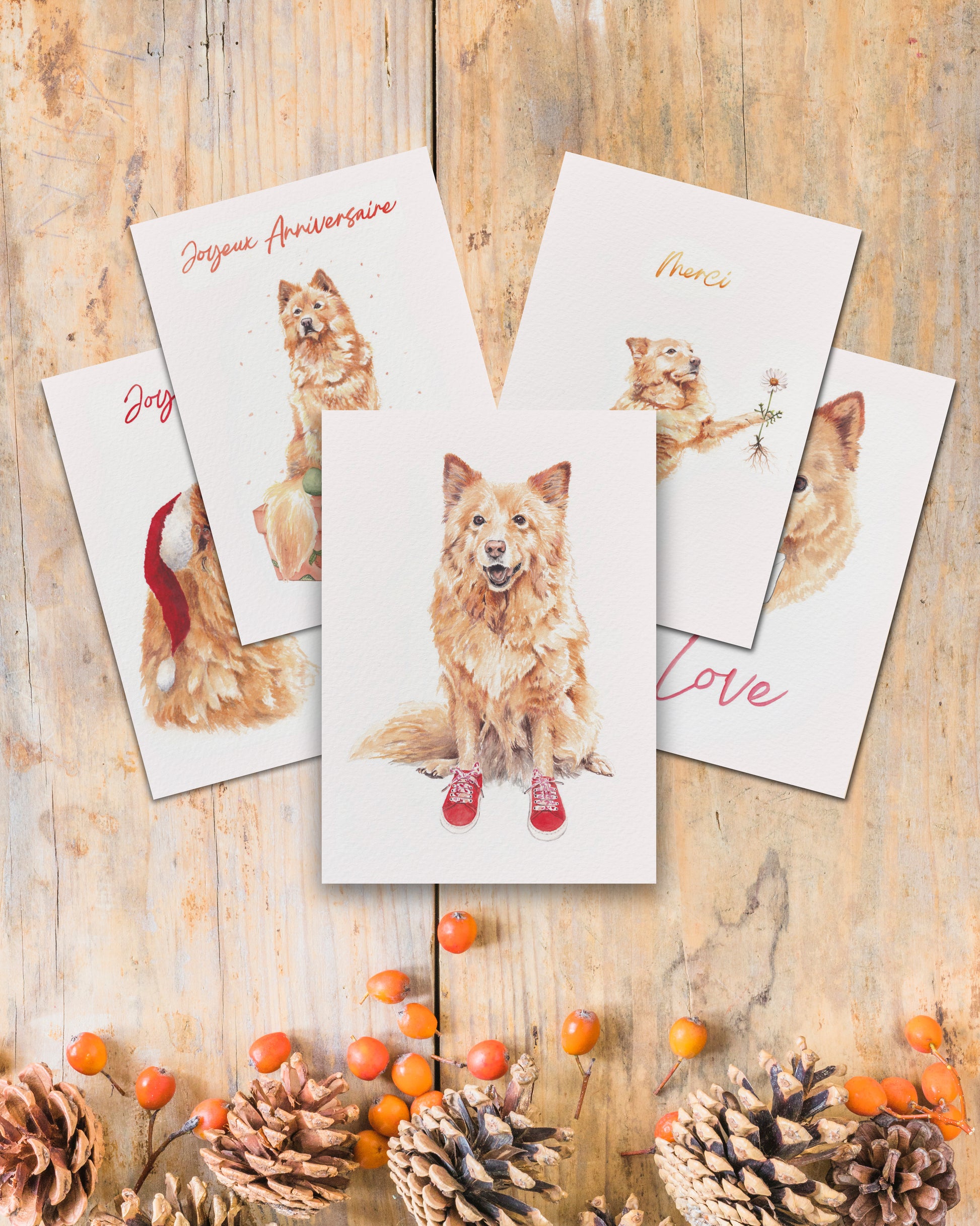 Pack Cartes Cannelle